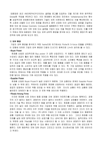 [국제경영] 태평양화장품 `AMOREPACIFIC`의 핵심역량 분석-16