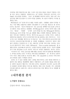 [마케팅전략] LG텔레콤 마케팅 전략-8