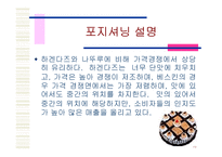 [마케팅] 베스킨라빈스31 마케팅전략-16