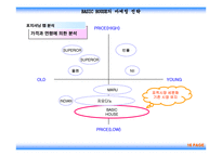 [마케팅] 베이직하우스의 마케팅전략-16