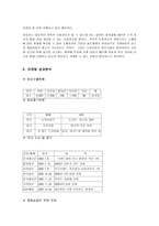 [마케팅] 현대자동차 EF소나타 마케팅분석-12