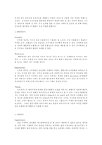 [유아용품시장]토이즈러스 국내 도입가능성 분석-5