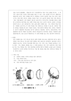 [전통음악]사물놀이에 대하여-7