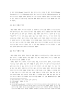 [배낭여행]성공적인 배낭 여행을 위한 방안 연구-3