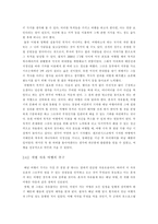 [배낭여행]성공적인 배낭 여행을 위한 방안 연구-5