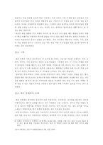 [배낭여행]성공적인 배낭 여행을 위한 방안 연구-10