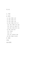 [배낭여행]성공적인 배낭 여행을 위한 방안 연구-15