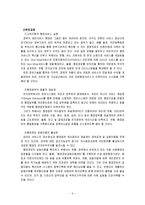 [학사][전자정부] 전자경찰의 목표와 나아갈 방향-4