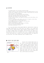 [청소년고민]여드름에 개념과 사춘기 시절의 여드름 치료 방법-2