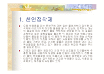 천연접착제 레포트-2