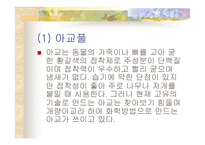 천연접착제 레포트-4