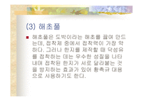 천연접착제 레포트-6