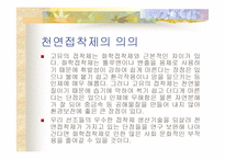 천연접착제 레포트-13