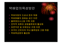 [물류관리]택배업체 대한통운의 물류시스템 조사-17