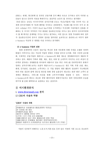 [e-business- 마케팅기업분석] 스쿠버다이빙 전문쇼핑몰 `다이버스몰` 경영분석-7