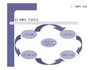 [CRM] 기업경영의 핵심전략으로 대두되고 있는 CRM에 대한 이해-11