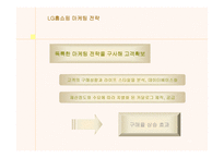 [경영전략분석]LG홈쇼핑의 경영전략과 물류시스템-19
