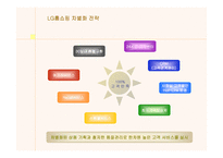 [경영전략분석]LG홈쇼핑의 경영전략과 물류시스템-20