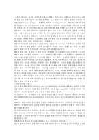 [브랜드마케팅]한국 패션 브랜드의 나아갈 길-12