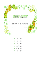 [사이버지적재산권]소리바다의 문제분석과 윤리적 성찰-1