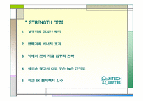 [경영학] ㈜팬텍&큐리텔 SWOT 분석 및 전략-4