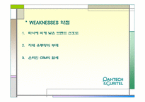 [경영학] ㈜팬텍&큐리텔 SWOT 분석 및 전략-6
