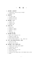 싸이월드 마케팅전략-1