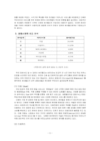 싸이월드 마케팅전략-6