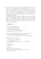 싸이월드 마케팅전략-9