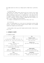싸이월드 마케팅전략-11