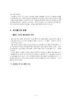 싸이월드 마케팅전략-17