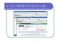 [인터넷커뮤니케이션] 놀이문화로서의 인터넷-16