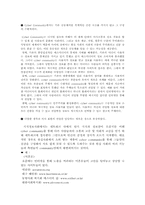 [사이버공동체] 커뮤니티의 활성화와 공동체 문화-7