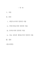 [인터넷커뮤니케이션] 놀이문화로서의 인터넷-2
