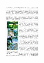 [중국학] 영화로 들여다 본 홍콩 -홍콩의 역사와 지리, 문학과 정서를 중심-5