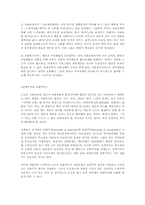 이념의 모형(복지국가,선별 보편주의,음모이론,시민권론)-2
