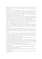 관료제에 대하여-2