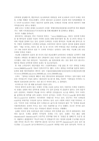 도메인 전쟁에 대하여-3