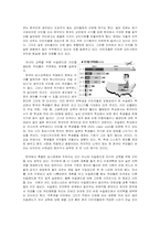 [한민족] 뉴질랜드 한인사회의 역사와 모습-14