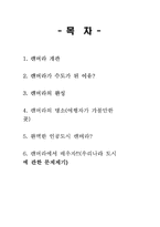 호주의 수도 `푸른도시` 캔버라-2