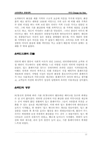 [경영학사례] 최저가화장품 미샤 사례-12