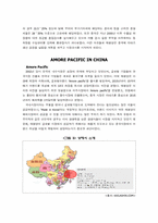 [국제경영] 태평양의 중국시장진출-13