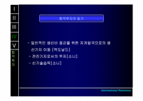[해외투자전략] 해외직접투자(FDI)-20