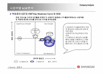 [경영전략] ㈜신세계의 전략보고서-16