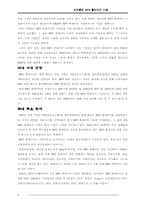 [경영학] 레인콤의 MP3플레이어 사업분석-4