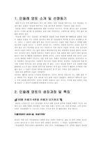 [마케팅조사론] ‘민들레영토’ 부산진출전략-3