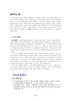 [마케팅] 스타마케팅- 보아사례-3