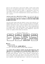 [마케팅] 스타마케팅- 보아사례-19