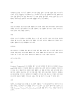 컴퓨터,인터넷 관련직종(업무.조건.전망)-3