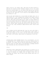 컴퓨터,인터넷 관련직종(업무.조건.전망)-11